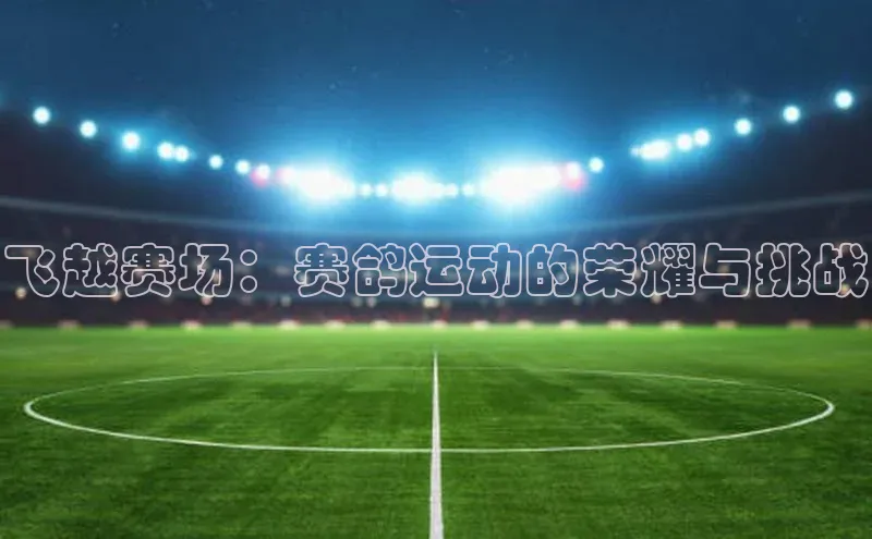 QY球友会网站