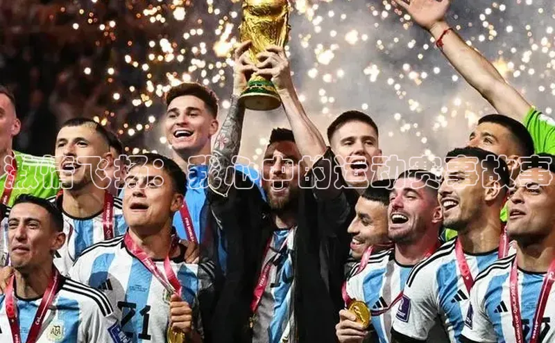 激情飞扬：我心中的运动赛事故事